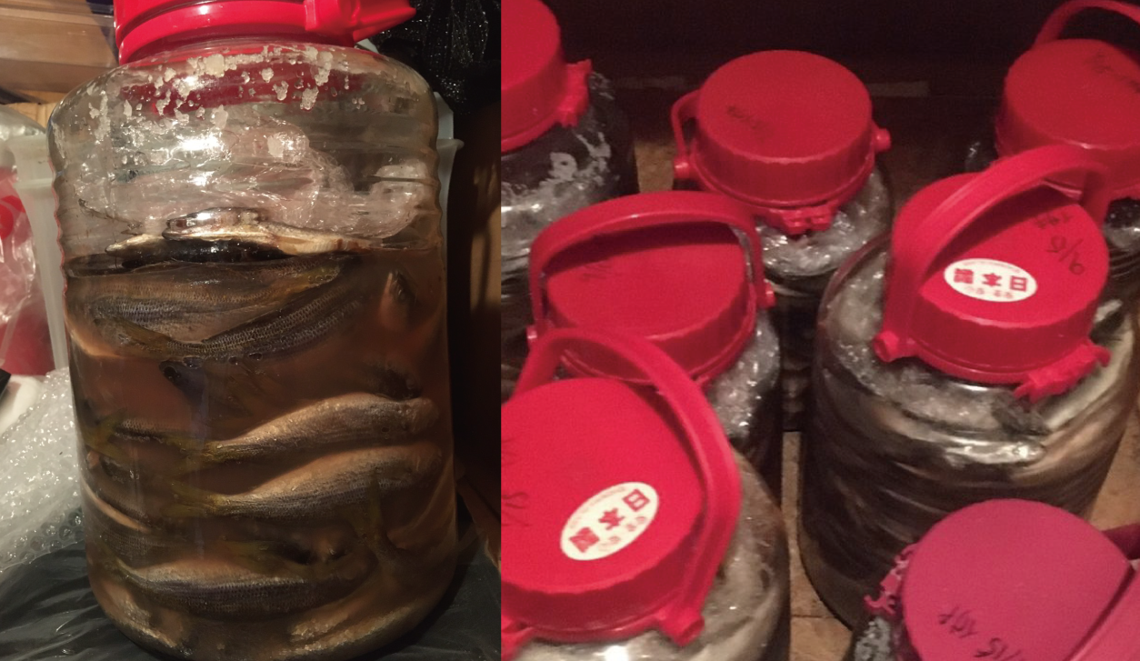 miriyogyo-project-photo04