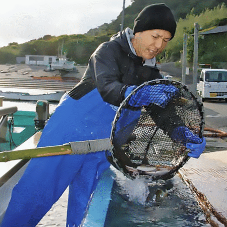 kei-photo-large kei-photo-large